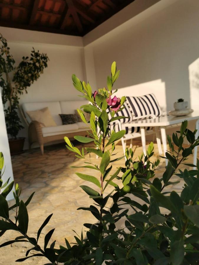 Sunset Apartment Orašac Exteriör bild